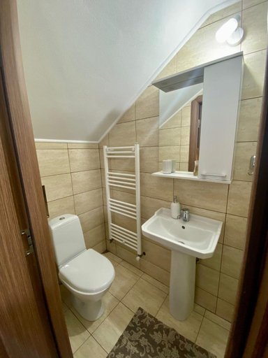 Bathroom 2, Casa Alex, Corbeni