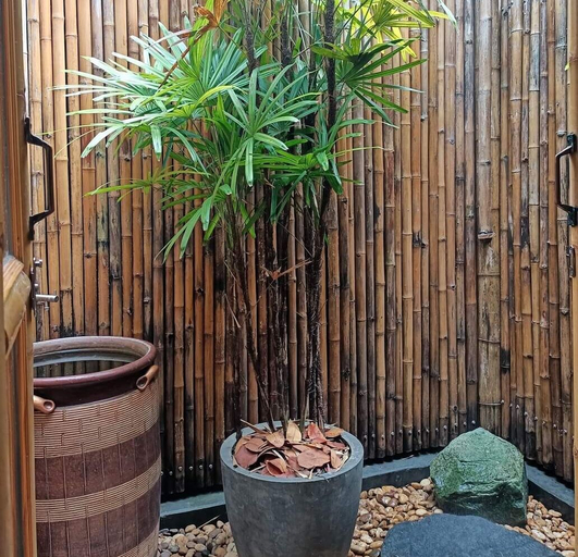 Scenery 7