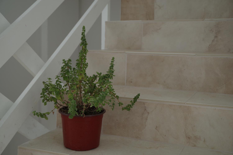 3, Soso's Apartments -Vacations Next to the Beach, Crete