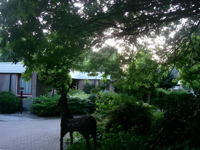 Others 4, Hof van Sellingen, Vlagtwedde