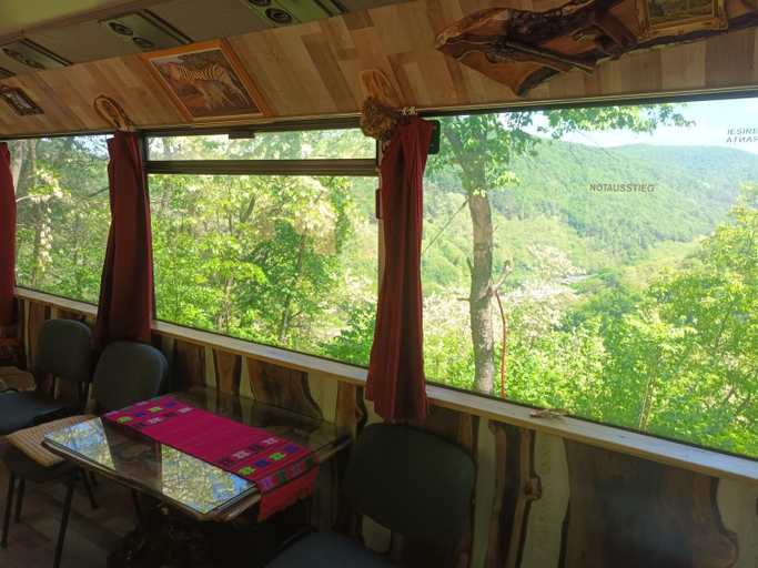 Others 2, Autobuzul din padure, Pianu De Sus