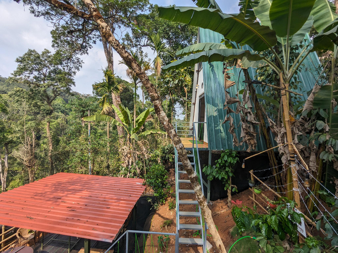 Others 3, Coorgology-The estate stay(Homestay), Kodagu