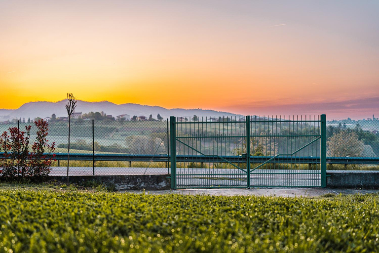 Others 4, Bed & Breakfast Barbera e Tulipani, Asti