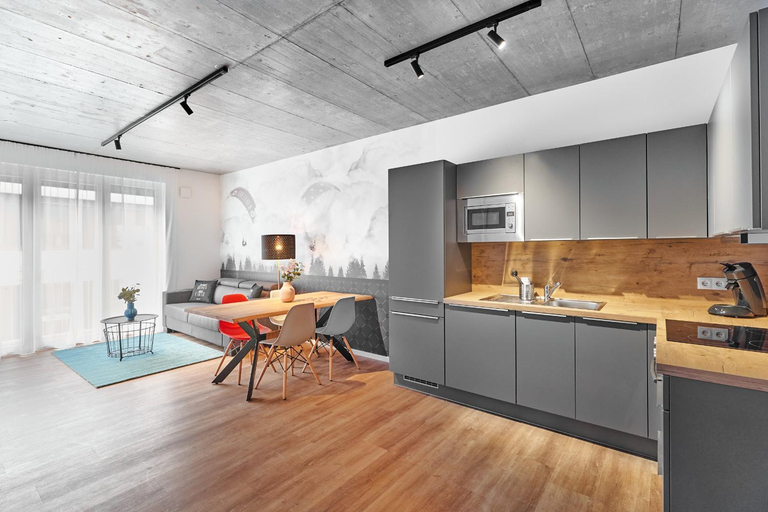 Others 4, The Cloud Suite Apartments, Freiburg im Breisgau