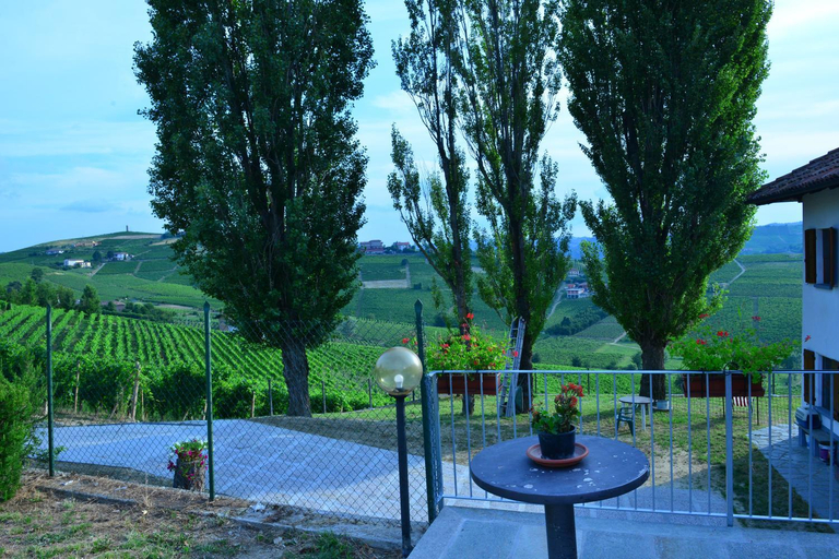 Others 5, I Grappoli, Asti