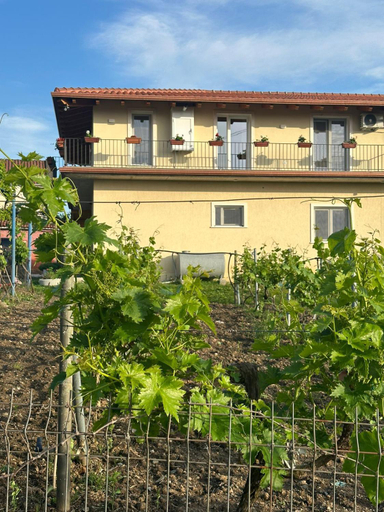 Others 4, Guesthouse Marku - Mrizi i Zanave, Lezhës