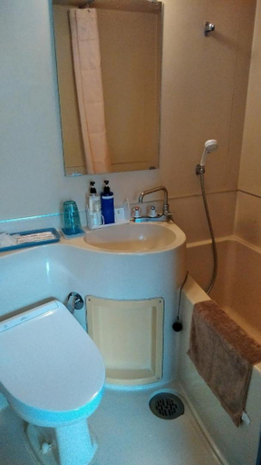 Bathroom 3, Business Hotel Takanoya, Hadano