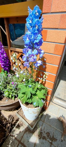 Scenery 6