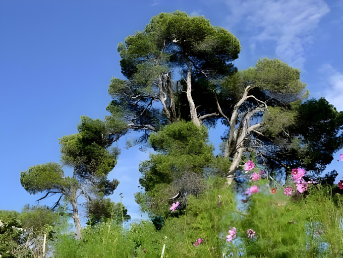 Others 5, Domaine de la Matte, Aude
