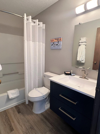 Bathroom 3, Hilltop Inn & Suites, Delaware