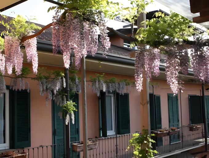 Others 2, Cantina Anzivino - Affittacamere, Vercelli