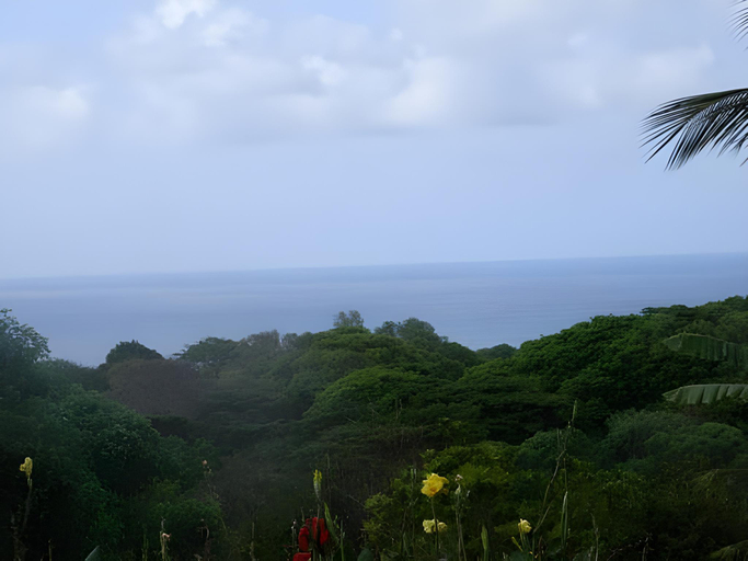 Others 5, Palhoca da Colina, Fernando de Noronha