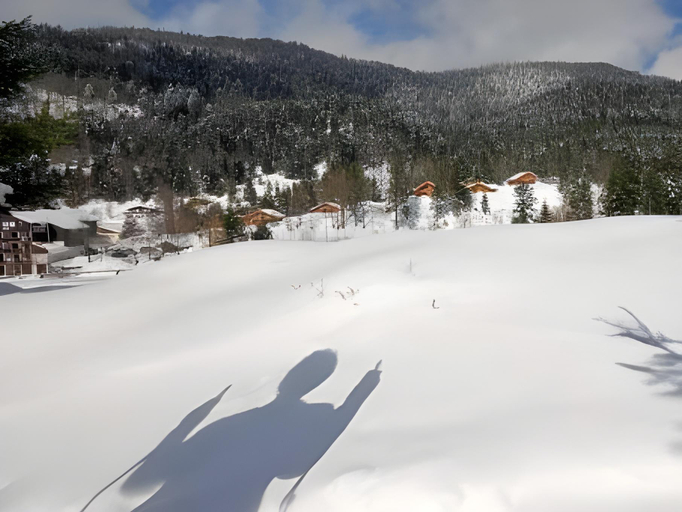 Others 2, Le Couaroge Chalets et Appartements, Vosges