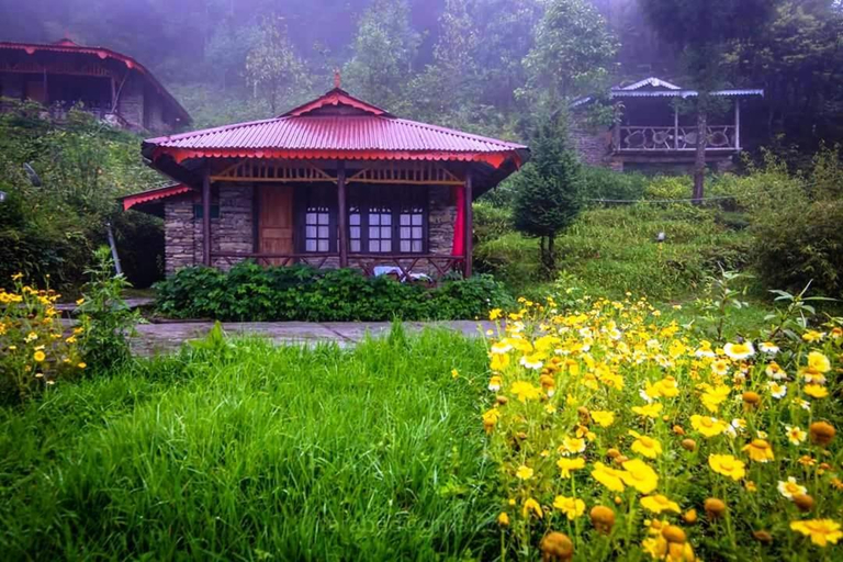Others 3, Mt.Narsing Village Resort, South Sikkim