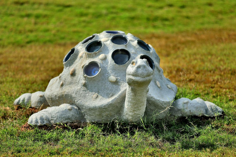 Others 4, SOU ECO CAMP, Narmada