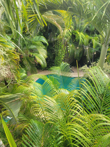Others 5, The Secret Garden Tulum, Cozumel