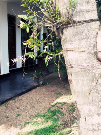 Others 4, Serene Niche, Weligama