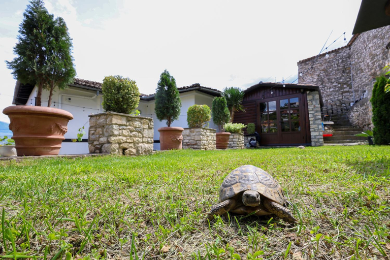 Others 4, Villa ELMAR, Beratit