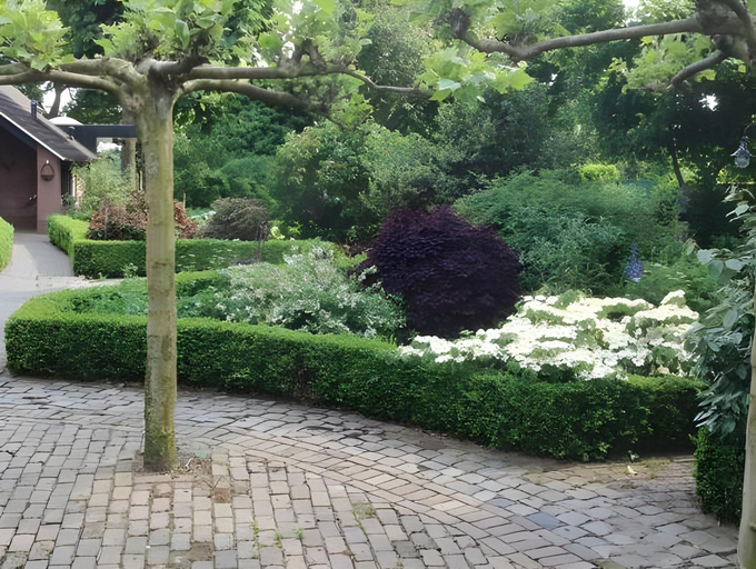 Others 4, Bed & Breakfast Boekel, Boekel