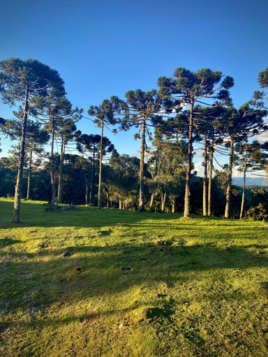 Others 3, Cabanas das Araucarias, Urubici
