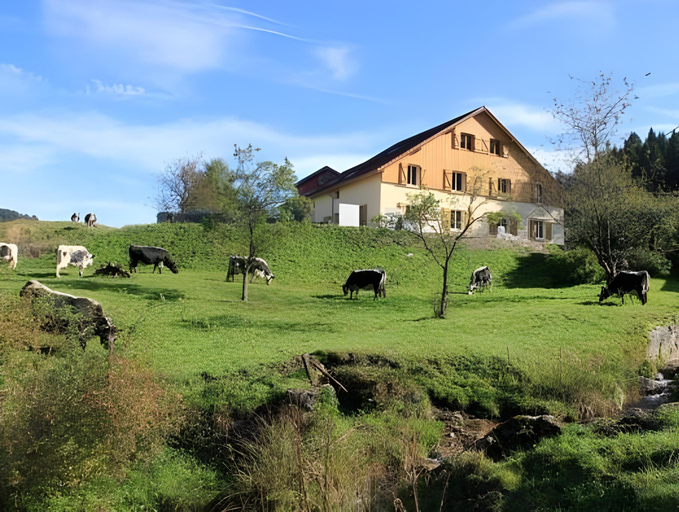 Others 4, Chez Jeanmyvonne, Vosges