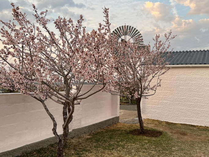 Others 2, Rooikloof Guest Farm, Namakwa