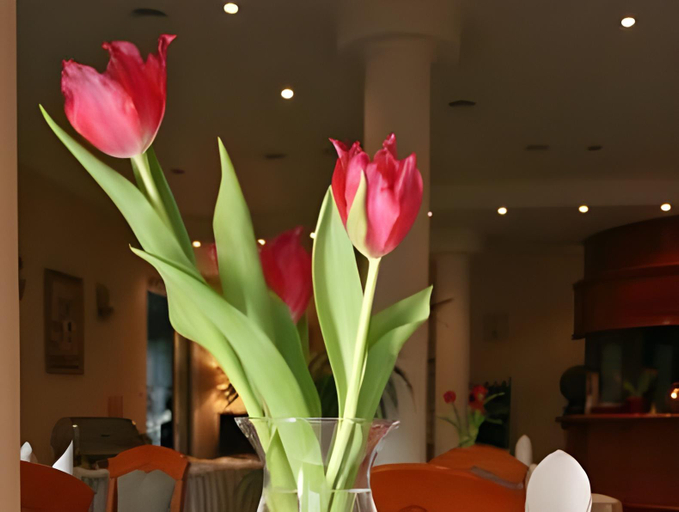 Others 4, Hotel Alexandra, Poznań