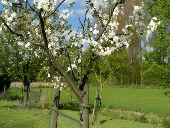 Others 2, B&B Hier en Nu, Oost-Vlaanderen