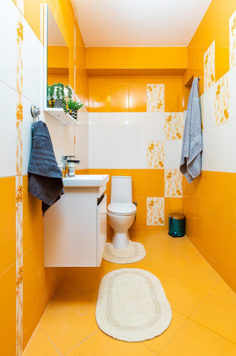 Bathroom 3, 'Little Little' House in the town CENTER & PARKING, Plovdiv