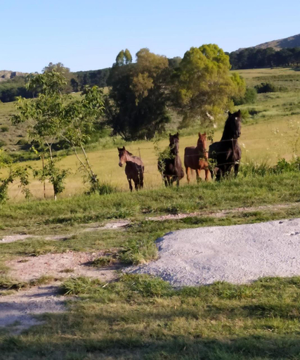 Others 5, Deptos del sur, Tandil