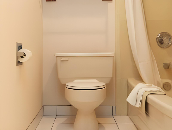 Bathroom 4, St. Albert Inn & Suites, Division No. 11