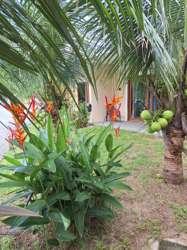 Scenery 8