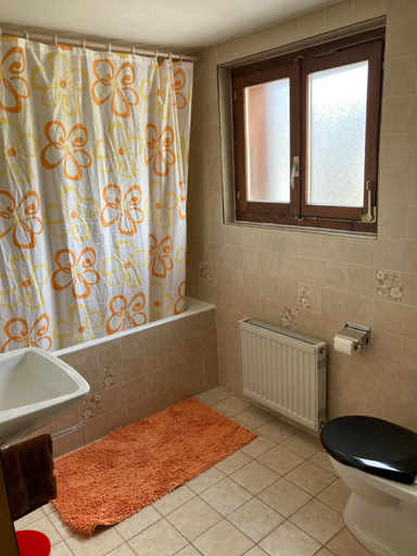 Bathroom 2, Hotel du Gd-St-Bernard, Entremont
