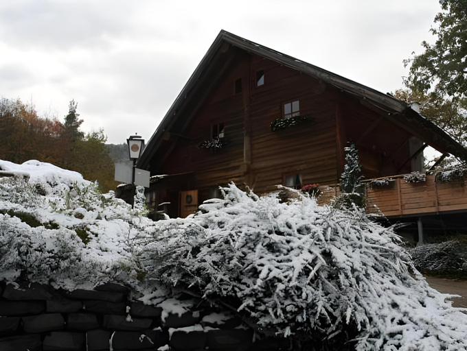 Others 4, Apart-Hotel Kastanienhof, Donnersbergkreis