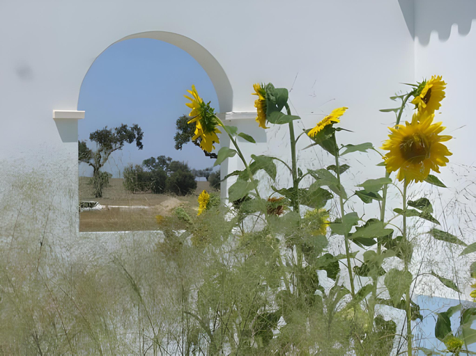 Others 4, Change The World - Herdade Monte do Peral, Alandroal
