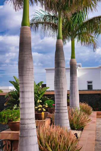 Lobby 4, Casa Mia, Las Palmas