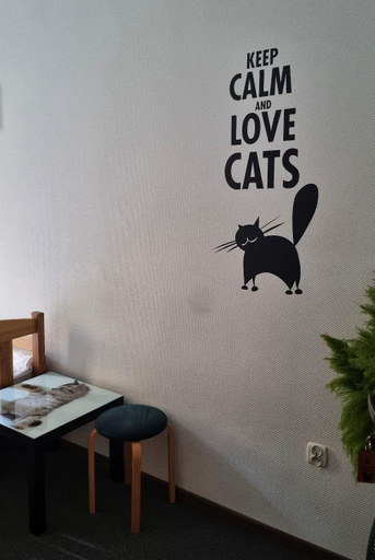 Others 4, Green Cat Rooms, Kraków City