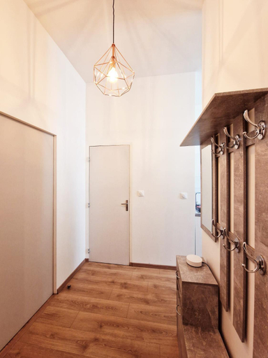 Others 4, appartement cosy en centre ville avec terrasse, Rhône