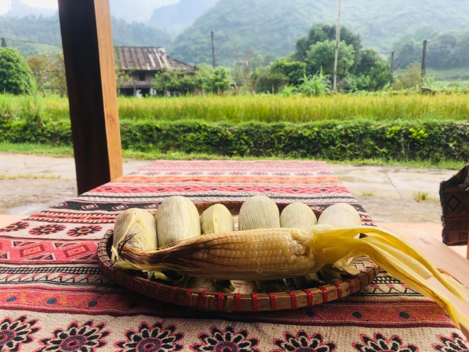 Others 3, Doi Tung Tang Homestay, Yên Minh