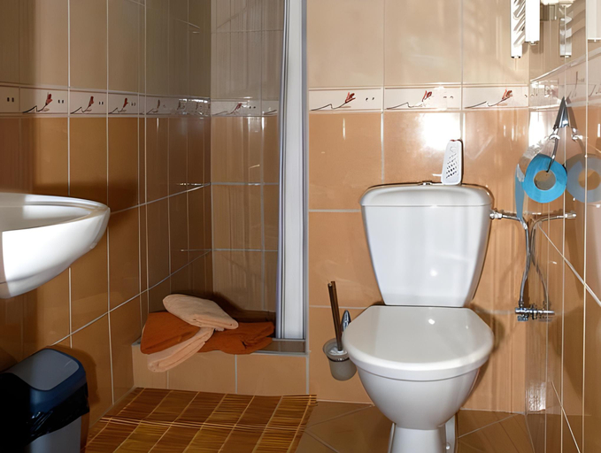Bathroom 2, Penzion U Trebonskeho kola, Jindřichův Hradec