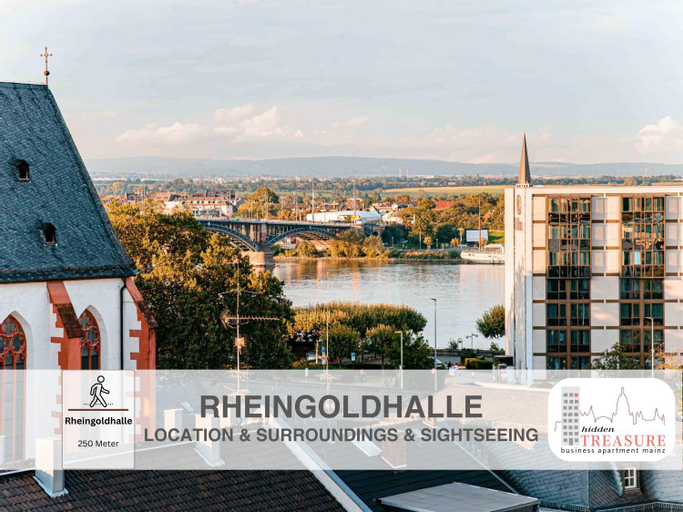 Hidden Treasure Business Apartment Mainz - fantastic Rhine view in center of Mainz old town, Mainz