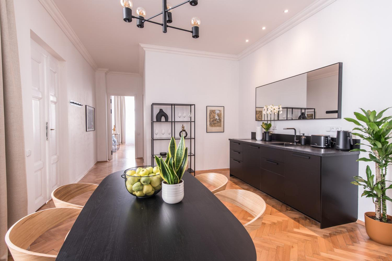 Others 5, New design APT - central location Wenceslas Square, Praha 1