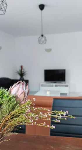 Others 5, Ellas Modern Duplex City Center