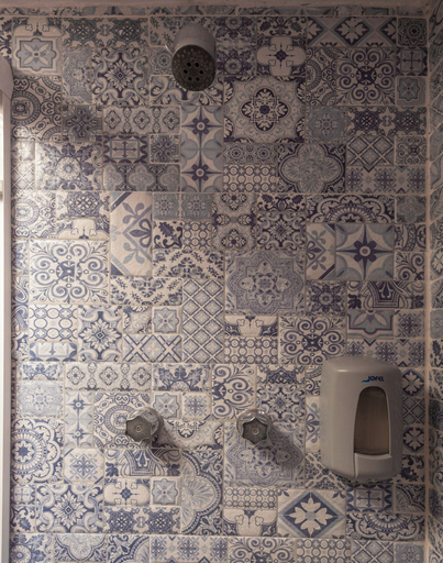 Bathroom 4, Hotel Posada Bugambilias, San Luis Potosí