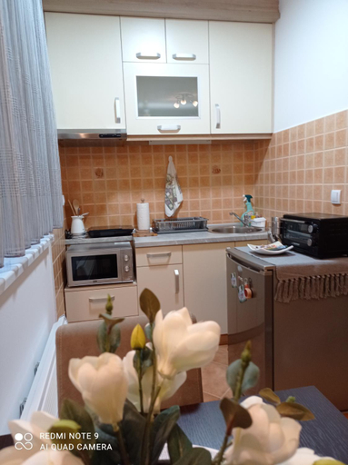 Others 3, Apartman Harmonija Vrnjacka Banja, Vrnjačka Banja