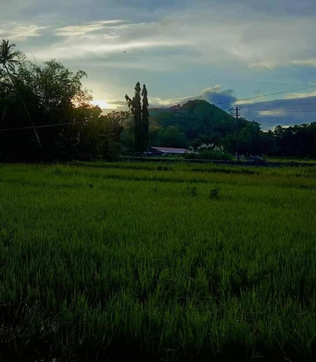 Scenery 13