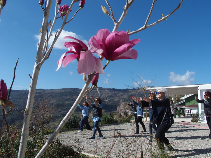 Others 5, Ktima Noosfera Wellness & Retreat Center, Peloponnese