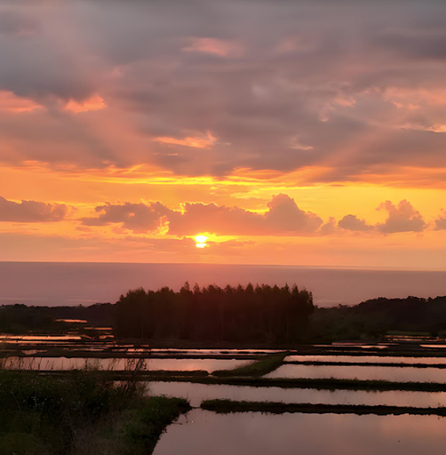 Others 5, Diamond Avenue Homestay, Taitung
