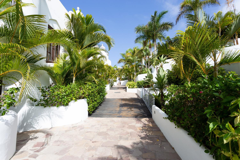 Garden, Paradise Homes Tenerife, Santa Cruz de Tenerife
