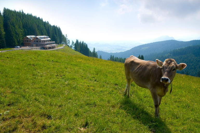 Others 5, BockLodges, Ostallgäu